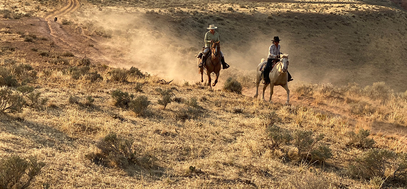 Wyoming Horse Riding - Equestrian Vacations - Natural Horsemanship