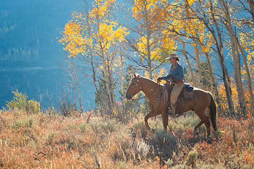 Wyoming Horse Riding - Equestrian Vacations - Natural Horsemanship ...